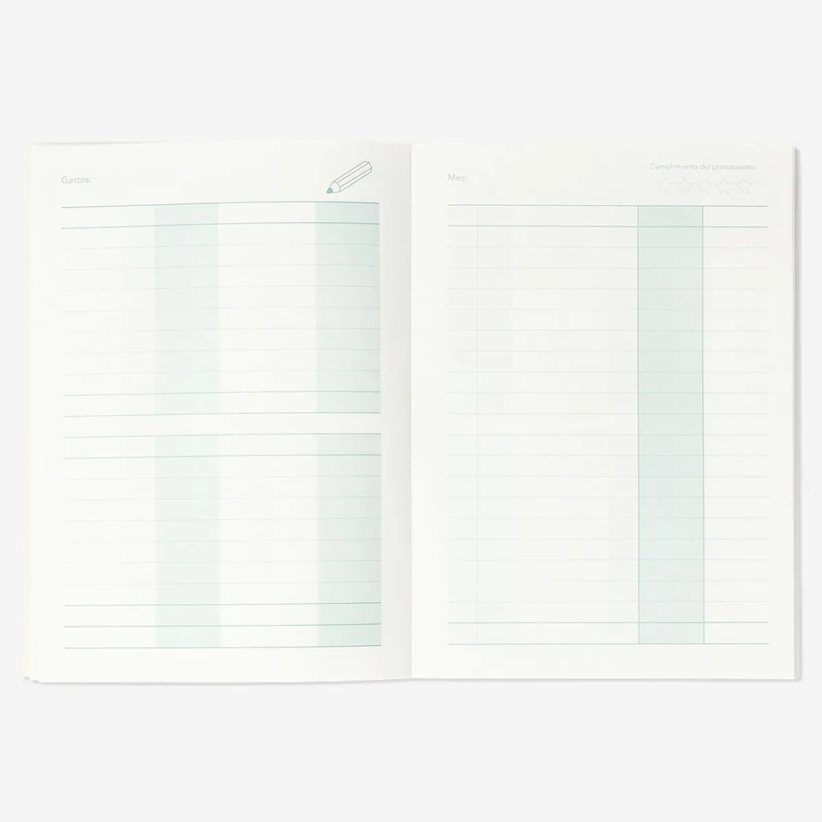 Flying Tiger Budgetplanerare A5 - spanska^ Anteckningsböcker & Bullet Planners