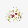 Flying Tiger Confetti blomma fröförpackning^Kvinnor Dekorationer För Utomhusbruk|Julklappar Du Inte Visste Fanns