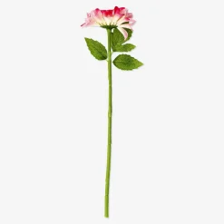 Flying Tiger Dekoration rosa blomma^Kvinnor Midsommar|Annan Heminredning