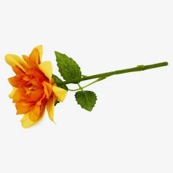 Flying Tiger Orange dekorativ blomma^ Midsommar|Födelsedag