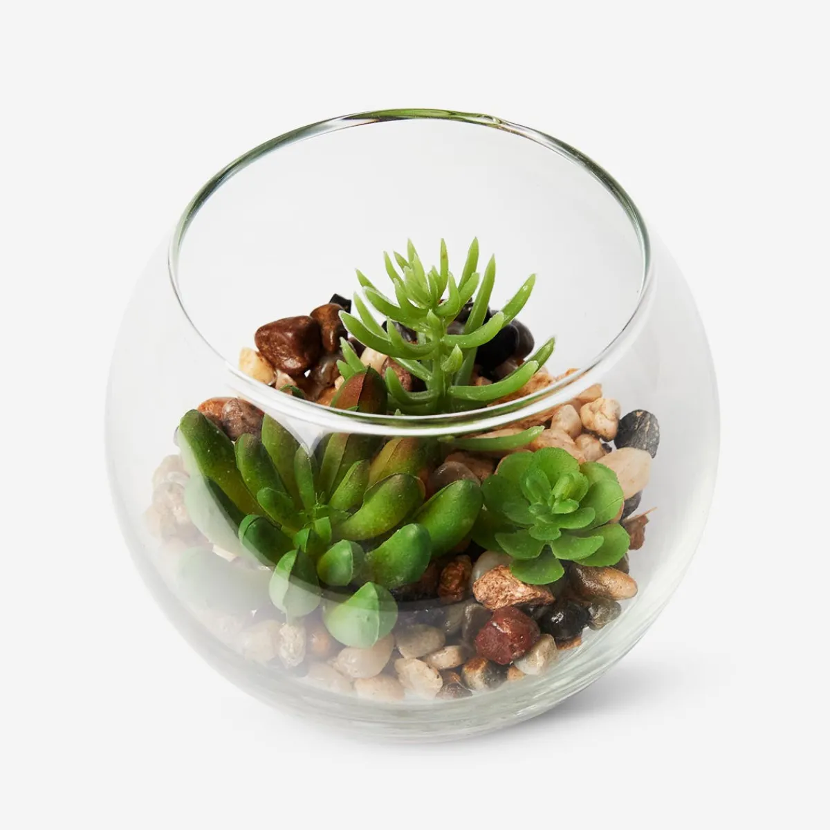 Flying Tiger Terrarium^ Annan Heminredning|Gåvor Till Inflyttningsfesten