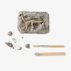 Flying Tiger Utgrävningssats med fossil^ Leksaker För Lärande|Pedagogiska Leksaker & Instrument